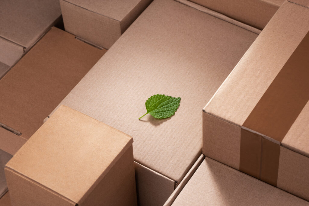 Green leaf laying between cardboard shipping boxes